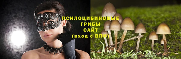 молекула духа Пестово