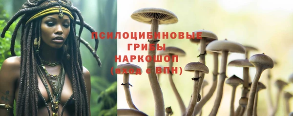 молекула духа Пестово