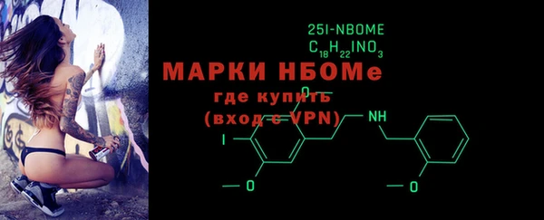 молекула духа Пестово