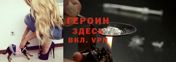 молекула духа Пестово