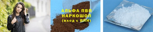 PSILOCYBIN Переславль-Залесский