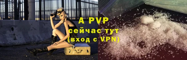 молекула духа Пестово