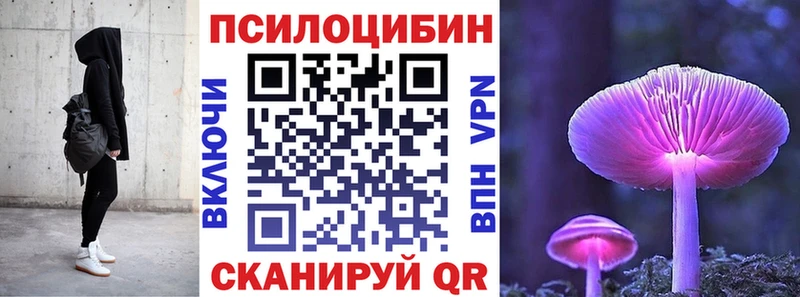 mega tor Рославль Псилоцибиновые грибы Psilocybine cubensis даркнет сайт