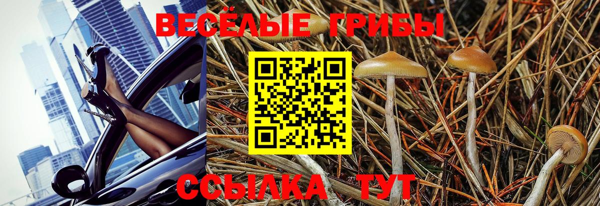 Псилоцибиновые грибы GOLDEN TEACHER  Галлюциногенные грибы мухоморы  Вход с VPN  Рославль 