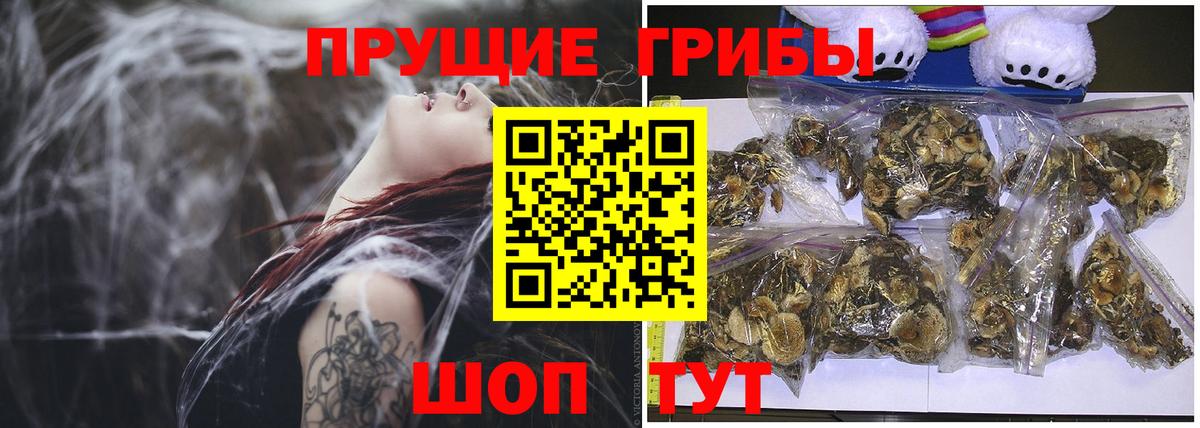 Галлюциногенные грибы мухоморы Рославль